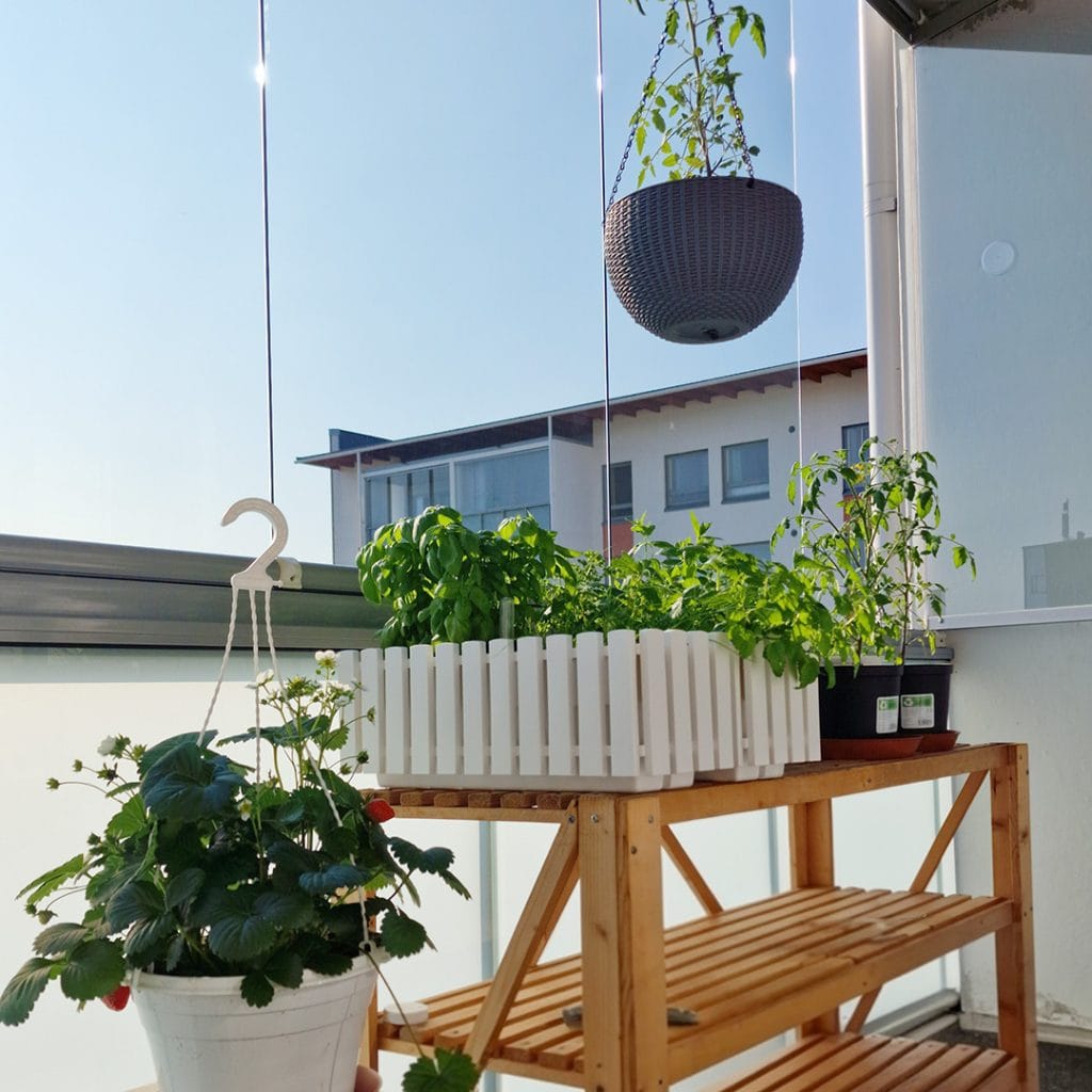 Kuva otettu parvekkeelta jossa kasvamassa yrttejä ja mansikkaa